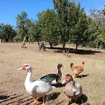 De La Peyre Et Du Causse Dom wakacyjny