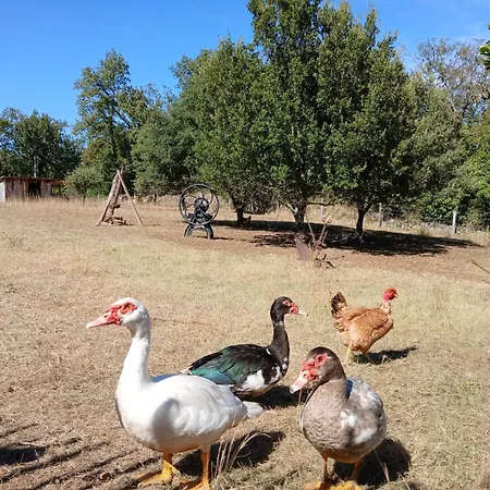 De La Peyre Et Du Causse Casa vacanze