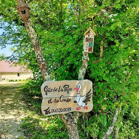 De La Peyre Et Du Causse Дом отдыха Florimont-Gaumiers