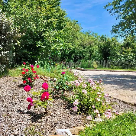 De La Peyre Et Du Causse Дом отдыха