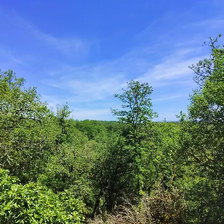 Дом отдыха De La Peyre Et Du Causse *