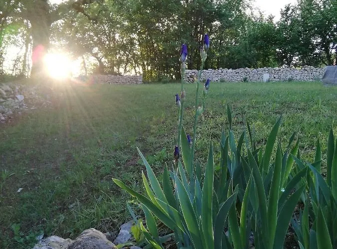 Dom wakacyjny De La Peyre Et Du Causse *