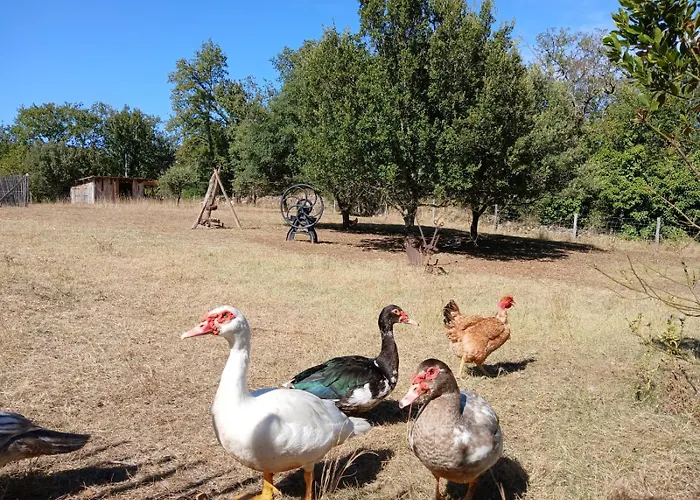 De La Peyre Et Du Causse Dom wakacyjny